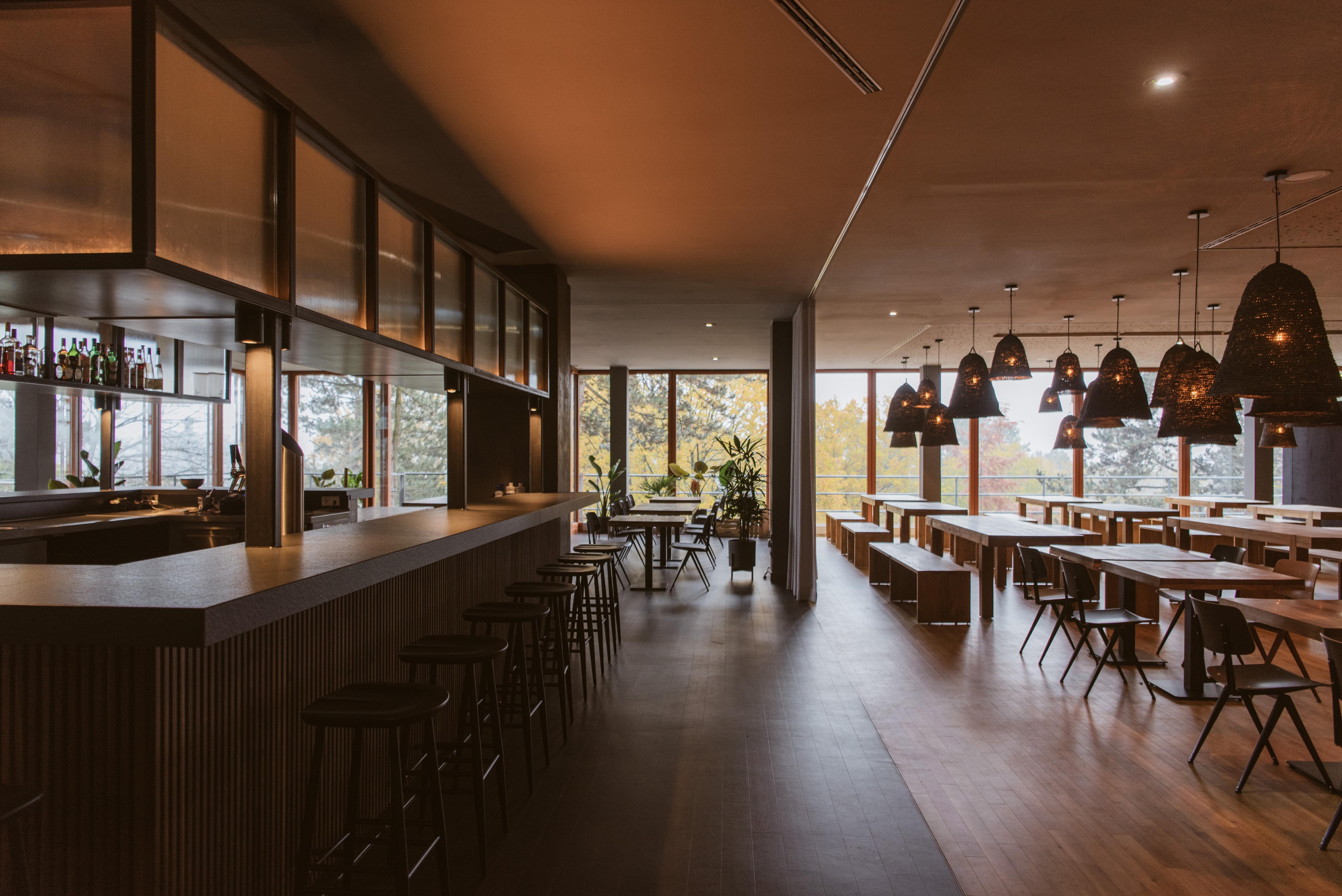 Bold Campus Hotel Königstein im Taunus Екстериор снимка